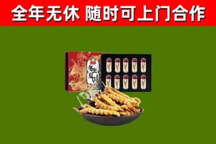 张家界回收冬虫夏草价格