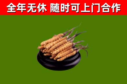 张家界烟酒回收冬虫夏草.jpg